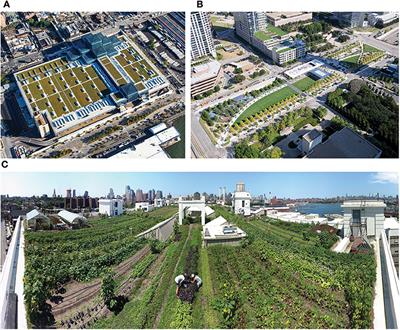 Urban Rooftop Agriculture: Challenges to Science and Practice